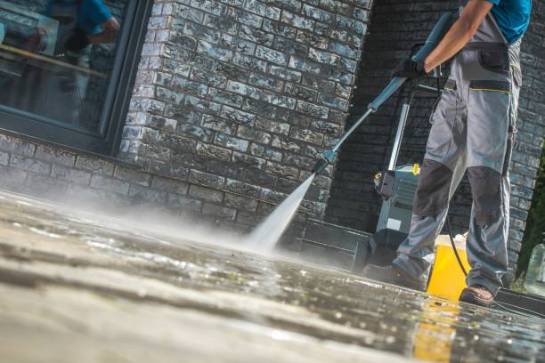 Best Pre-Holiday Cleaning  in Seco Mines, TX